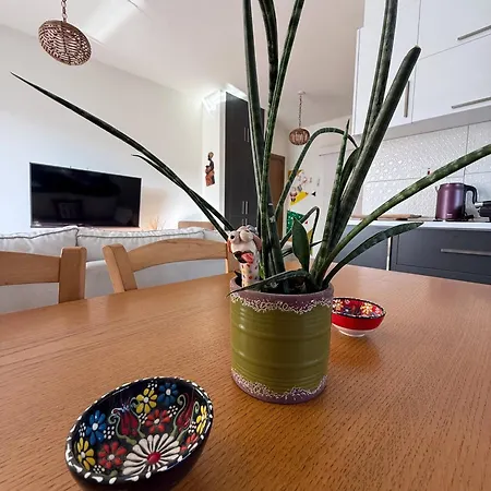 Διαμέρισμα Haven *