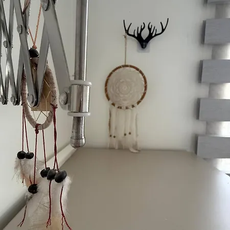 Haven Λευκωσία